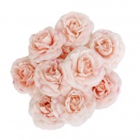 10x Artificial Silk Camellia Flower Heads Wedding Party Decor DIY Light Pink   323397379220